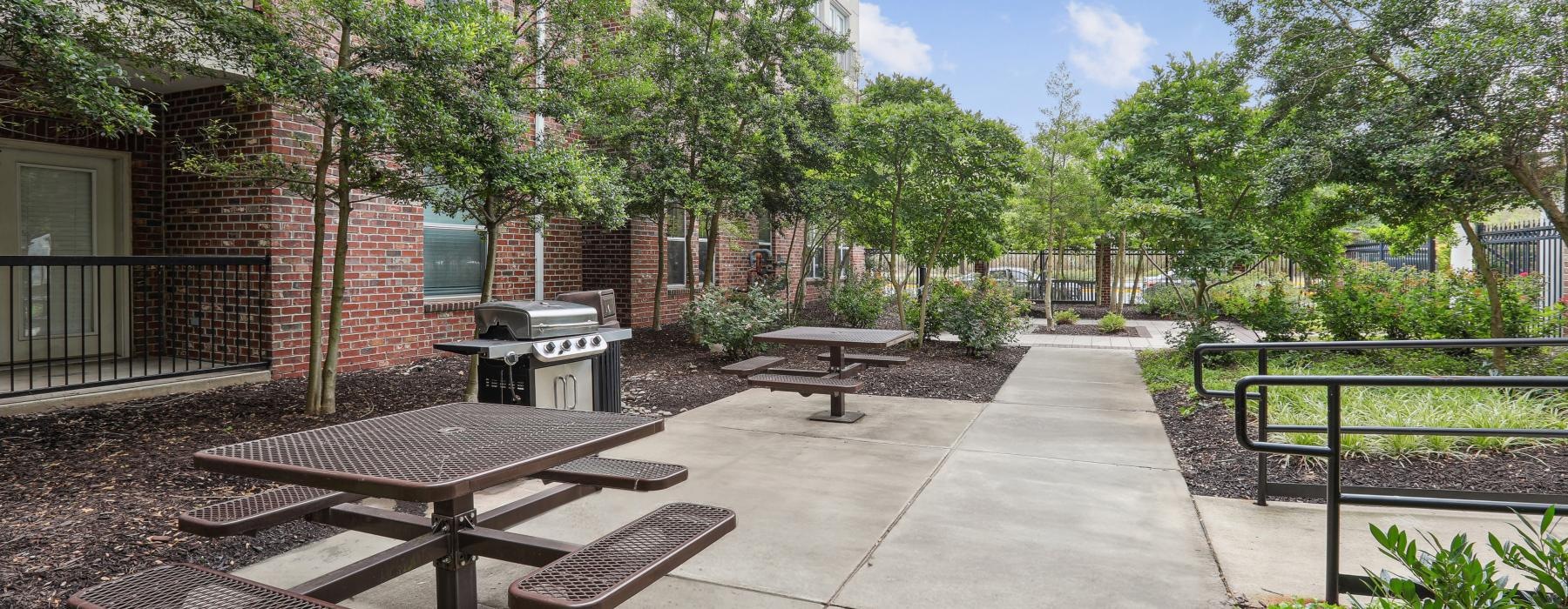 a courtyard with benches and trees